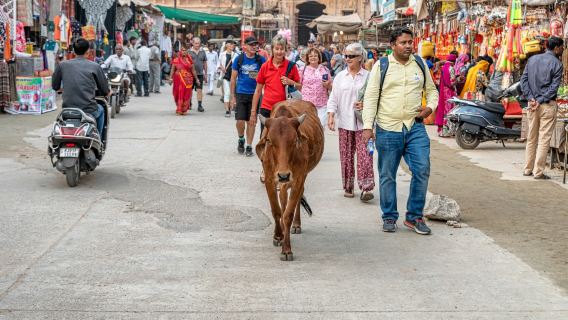 Transfer Pribadi dari Udaipur ke Jaipur dengan Persinggahan di Pushkar dan Layanan Pemandu
