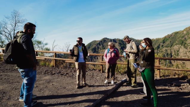 Vesuvius small group excursion from Pompeii and skip the line tickets