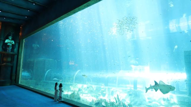 富國島珍珠遊樂園和野生動物園一日遊【包含車接送 + 門票】