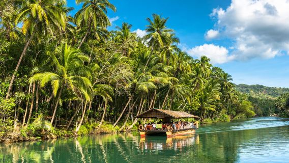 one-day tour to Bohol Island, Philippines: depart from Cebu | Chocolate Hills + Tarsier + Lunch + Pick-up