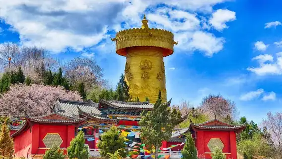 Depart from Lijiang: Shangri-La, Tiger Leaping Gorge, Dukezong, and Napahai (Yila Grassland) Day Tour