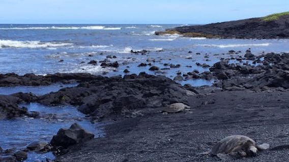The Big Island (Hawaii island)Experiences