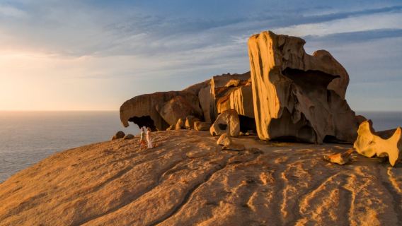 Excursión de un día a la Isla Canguro de Australia del Sur [opción de grupo en chino/inglés + grupo pequeño/grande + traslado desde hoteles del centro]