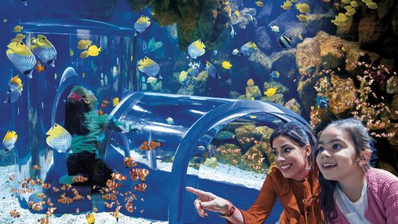 Poema del Mar - Aquarium Gran Canaria: Skip The Line Ticket