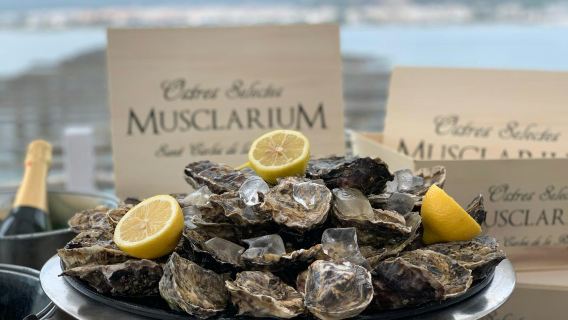 Musclarium: Route of the Mussel Farms
