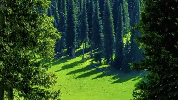 Lawatan Sewa Peribadi: Lawatan Sehari ke Tarikan Pelancongan Nalati