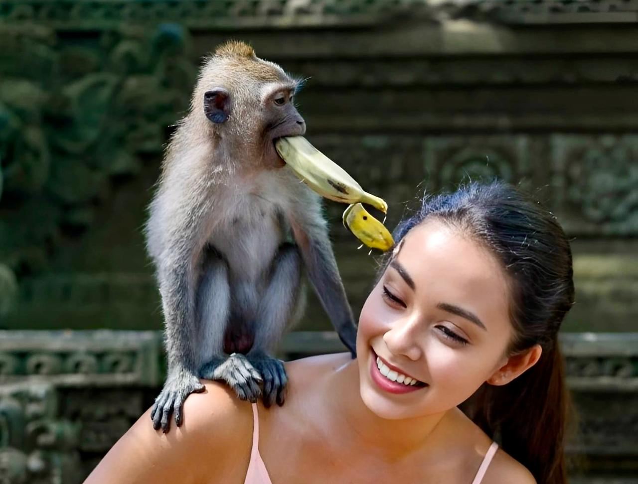 Ubud Full Day Tour: Monkey Forest, Waterfall, Temple, Rice Terraces and Jungle Swing