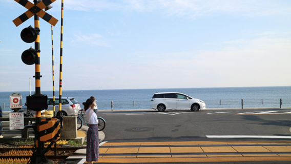 Salida y disolución en Tokio | Excursión de un día a Tokio, Kamakura y el templo Hasedera - 24