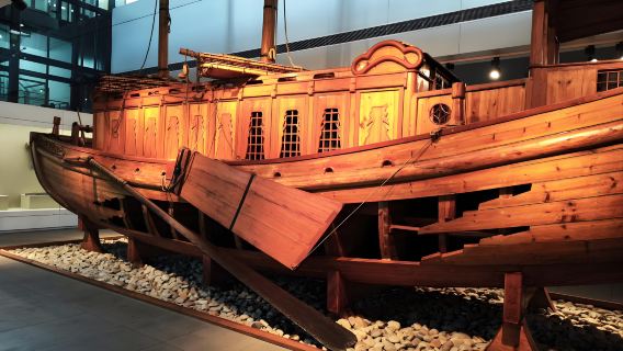 Excursión de un día al Museo de Shanghai + Museo Marítimo de Shanghái + Lago Dishui