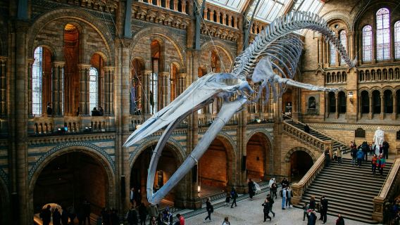 Natural History Museum London: Reserved Entry + Audio Guide