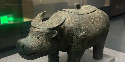 【芳華說】河南商丘博物館講解半日遊 | 10人小團+含耳機