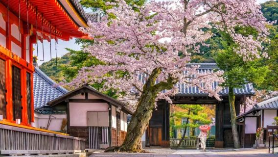 京都+清水寺+奈良公園+伏見稻荷大社一拼團線路【請諮詢客戶服務支援】