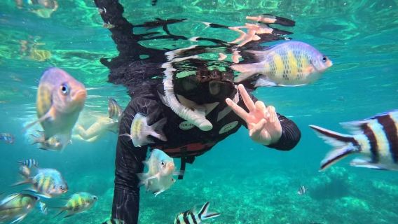 三亞海棠灣體驗潛水浮潛3小時【海棠灣後海浮潛+帆船滑梯+魔毯+提供裝備+送拍攝】