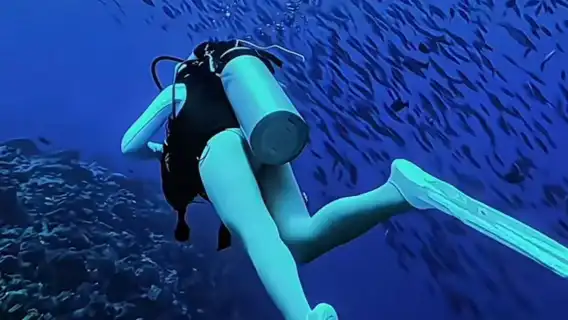 ทัวร์วันเดียว/ทัวร์หลายวัน พีพี ภูเก็ต + อ่าวมาหยา + เกาะมีรู | กลุ่มเล็ก | ไล่ล่าโลมาที่เกาะมีรู