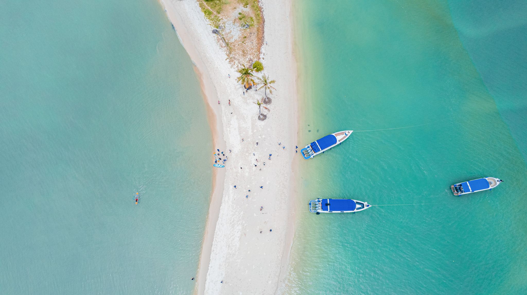 [Linea speciale] Tour di un giorno alla Baia di Phang Nga con l'Isola di James Bond (Koh Tapu) + Koh Khai/La spiaggia dalla lunga striscia di sabbia + canoa