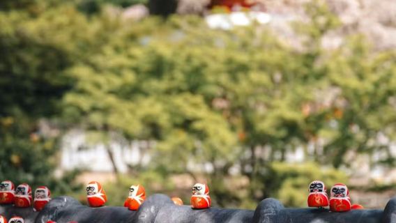 Excursión de un día a la Aldea de Gassho en Miyama, Templo Katsuo-ji, el Sendero de Bambú de Arashiyama y el Santuario Nonomiya en Kioto, Japón