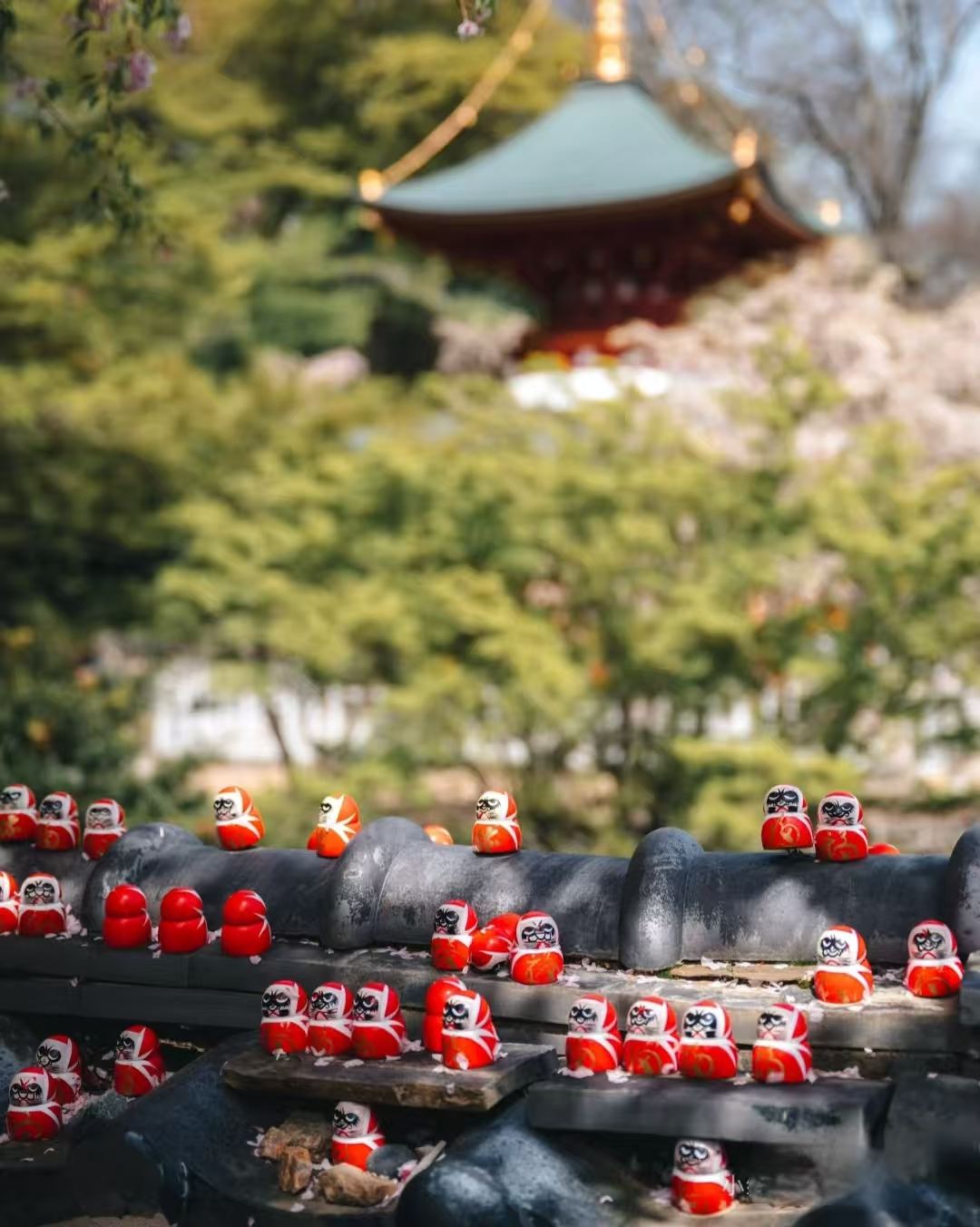 1-day tour to Miyama Village Gassho-style Houses, Katsuo-ji, Arashiyama Bamboo Forest Path, and Nonomiya Shrine in Kyoto, Japan