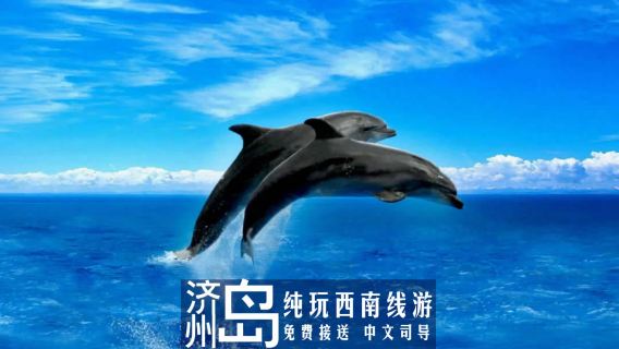 濟州市日遊
