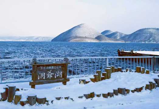 キャンディ　あとぐちさんの親子グマセット　洞爺湖　北海道 北海道登別絶景ワンデーツアー】洞爺湖＋湖畔ファーム＋登別地獄谷
