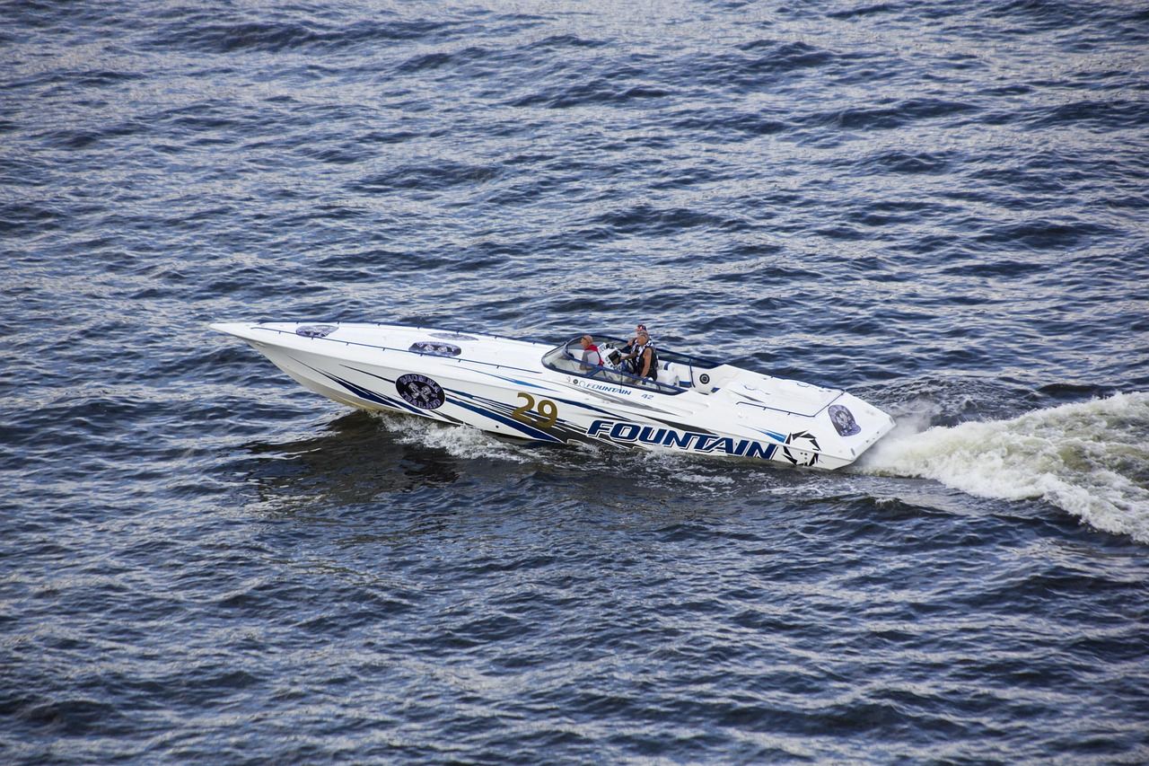 Noruega - Tromso - Excursión para avistar ballenas en los fiordos [Reserva individual disponible | Guía turístico en inglés]