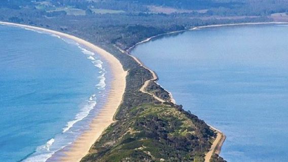 塔斯馬尼亞布魯尼島一日遊【中文司導+市區多站點接送+機場接駁】