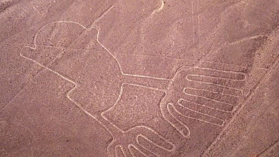 Nazca-Linien-Tour ab Lima: Mysteriöse Geoglyphen im Flug