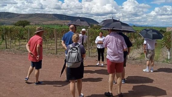 San Miguel de Allende: Local Vineyard Tour & Wine Tasting