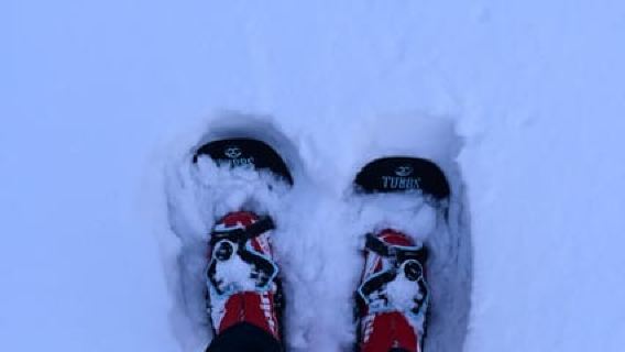 Saariselkä: tour con le ciaspole nel Parco Nazionale Urho Kekkonen