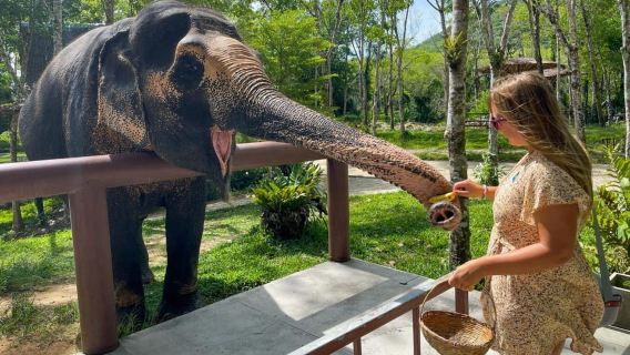 Agra : visite du Taj Mahal, du fort d'Agra et du sanctuaire faunique SOS