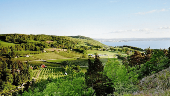Jönköping: "Fika"와 함께하는 Småland 투스카니 가이드 사이클링 투어