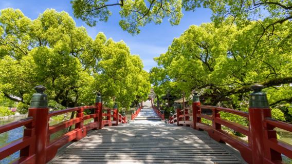 Fukuoka: Kyushu Autumn Yabakei, Kokonoe Yume Brdg. & Dazaifu