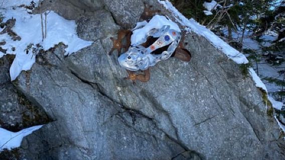 Montreal: visita guidata della foresta canadese in motoslitta