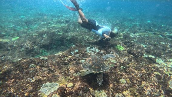 Dari Bali: Snorkeling 3 Spot dengan GoPro & Tur Penida Barat