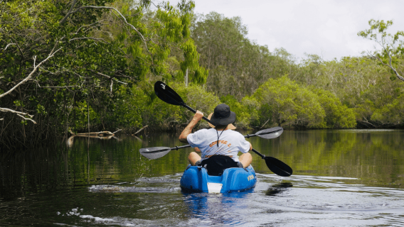 Noosa: Noosa Everglades and Stingray Sanctuary Kayak Tour