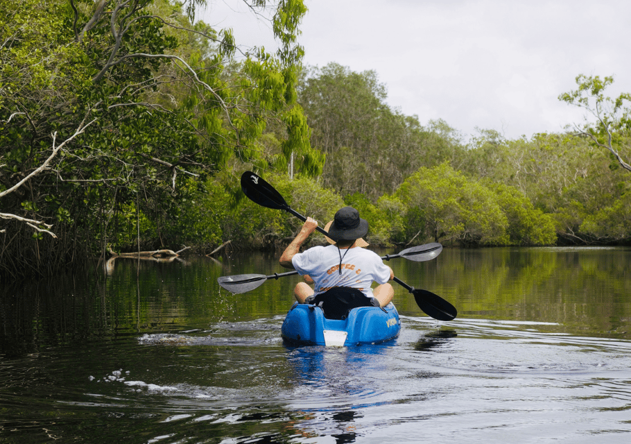 Noosa: tour in kayak tra le Everglades e il Santuario delle razze di Noosa