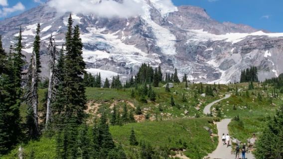 美國西雅圖市區來回奧林匹克國家公園颶風嶺等-包車-精選