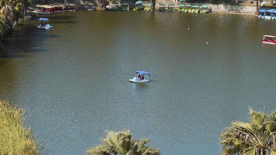 Da Lima: tour di un giorno intero alle Isole Ballestas e Huacachina