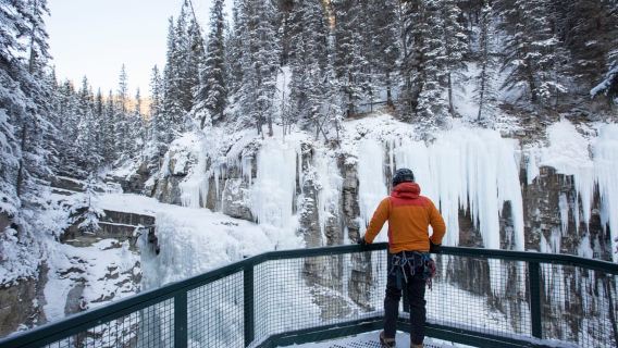 Banff: Premium Johnston Canyon Frozen Falls Guided Adventure