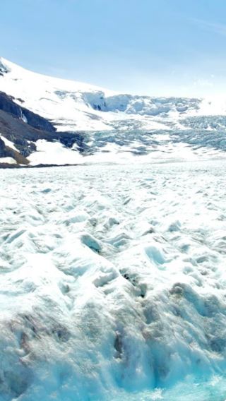 1-day round-trip tour from Calgary to Columbia Icefield + Peyto Lake + Bow Lake