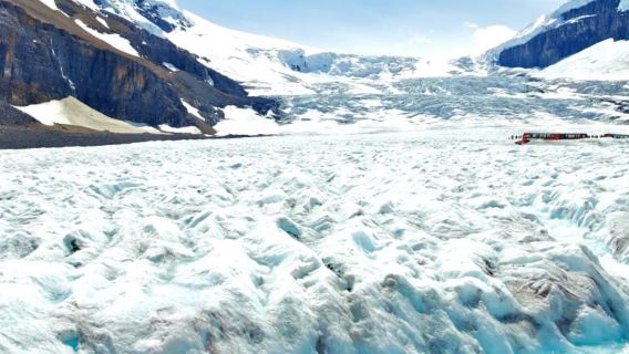 one-day tour from Calgary, Canada to Columbia Glacier, Peyto Lake and Bow Lake