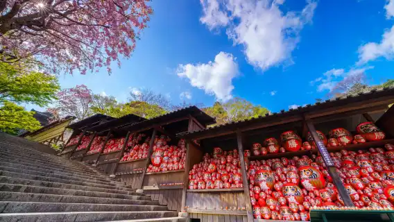 Osaka Katsuo-ji & Otagi Nenbutsu-ji Temple & Arashiyama hiking 1-day tour (Spirited Away inspired)