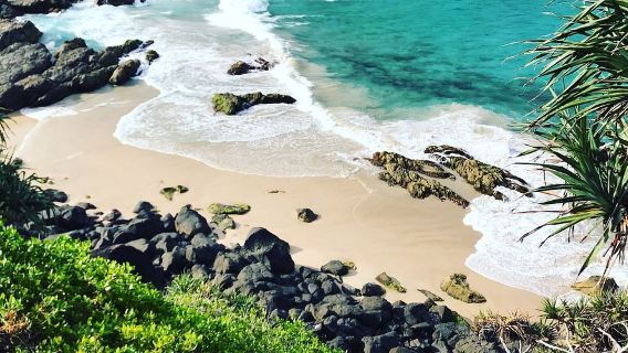 黃金海岸熱帶水果世界+危險角一日遊【中文司導+市區範圍接送】