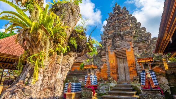 峇里島烏布+德格拉朗梯田+聖泉寺一日遊【專車出行丨可選中文】