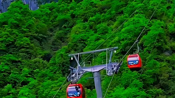 漢中-黎坪國家公園一日【2-6人私人導覽】-【含門票+景交車】