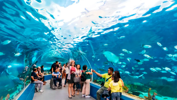 Cebu Ocean Park