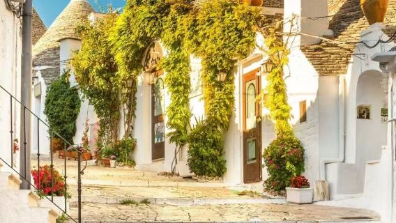 【南義】阿爾貝羅貝洛蘑菇村+懸崖小鎮包車一日遊【中文司機】