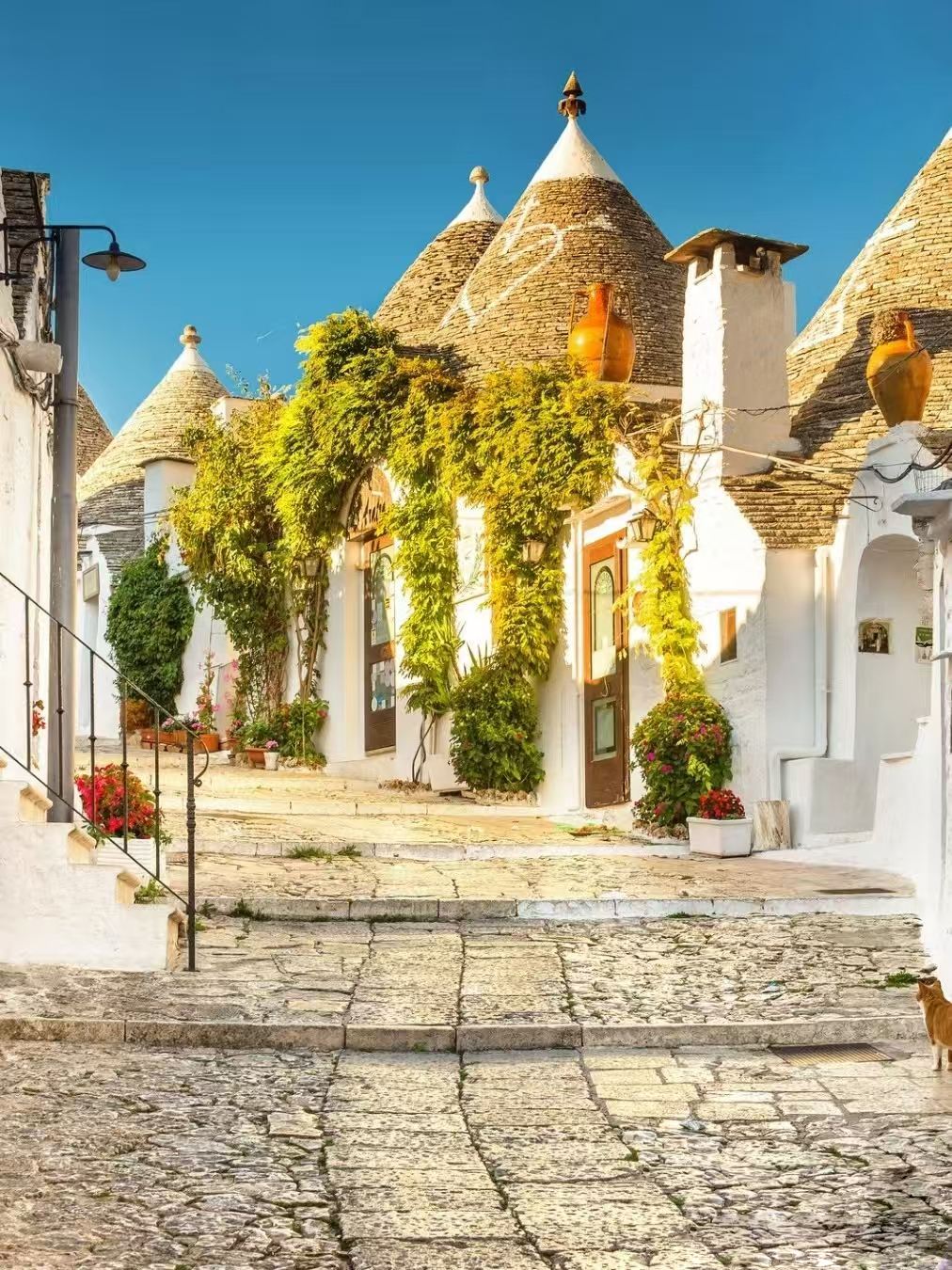 【南義】阿爾貝羅貝洛蘑菇村+懸崖小鎮包車一日遊【中文司機】