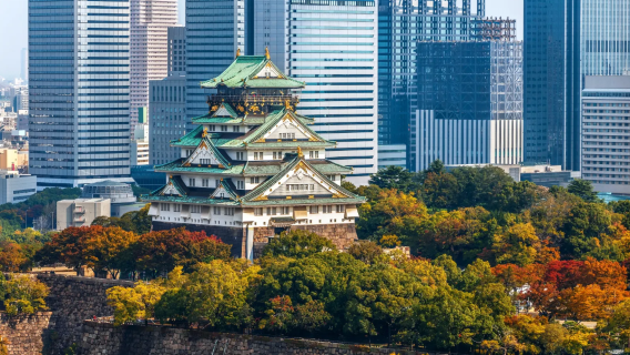 日本沖繩 翻譯陪同 地陪旅遊 展會翻譯 商務考察 接機 地接 （可私人定制）