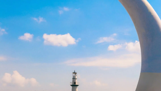 Round-trip to Wenzhou|Dongtou Scenic Area + Wanghai Tower + Little Erhai Sea + Dong'ao Beach 1-day tour (admission tickets not included)