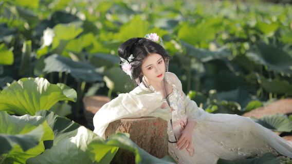 Dongtai Trip Moments[Dongtai Huanghai Forest Park/Anfeng Ancient Street Translation Photographer Local Guide Appointment Shooting Follow-up Shooting Aerial Photography Companion Shooting Wedding Portrait Photography]